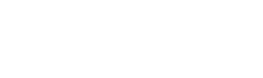 PALADIN-Logo-footer